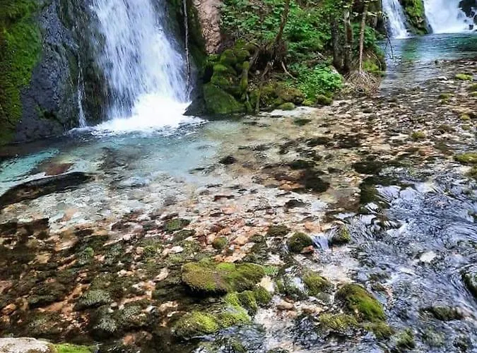 Appleby Kersnik 보히니